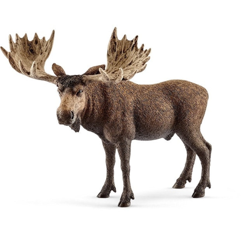 SC Moose Bull (Grey Dot)