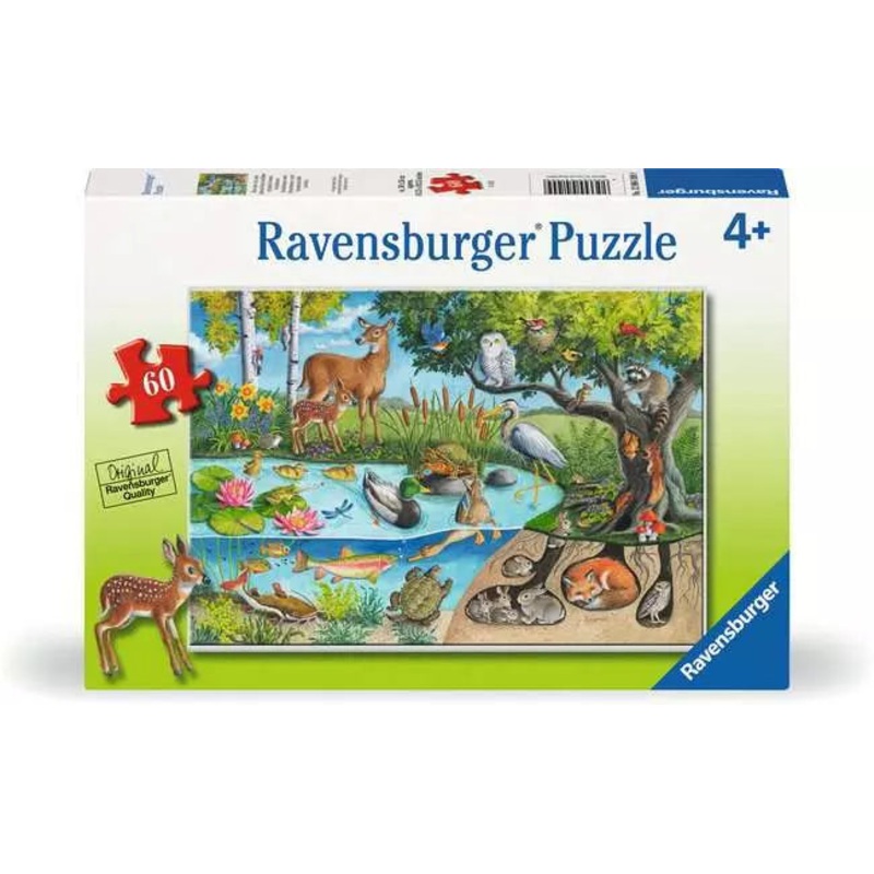 RB Animals Above and Below 60pc