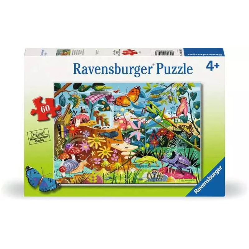 RB Backyard Bug World 60pc