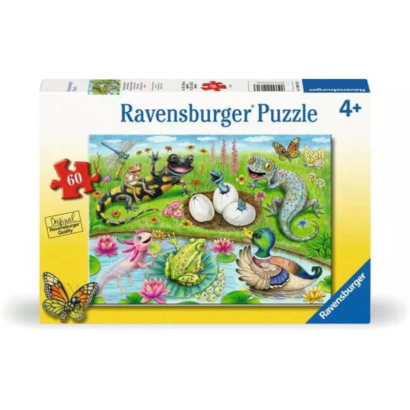 RB Hello Hatchlings 60pc