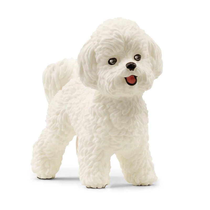 SC Bichon Frise (Green Dot)