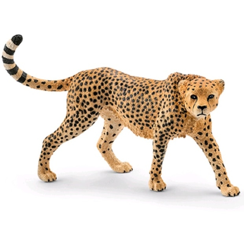 SC Cheetah Female (Yellow Dot)