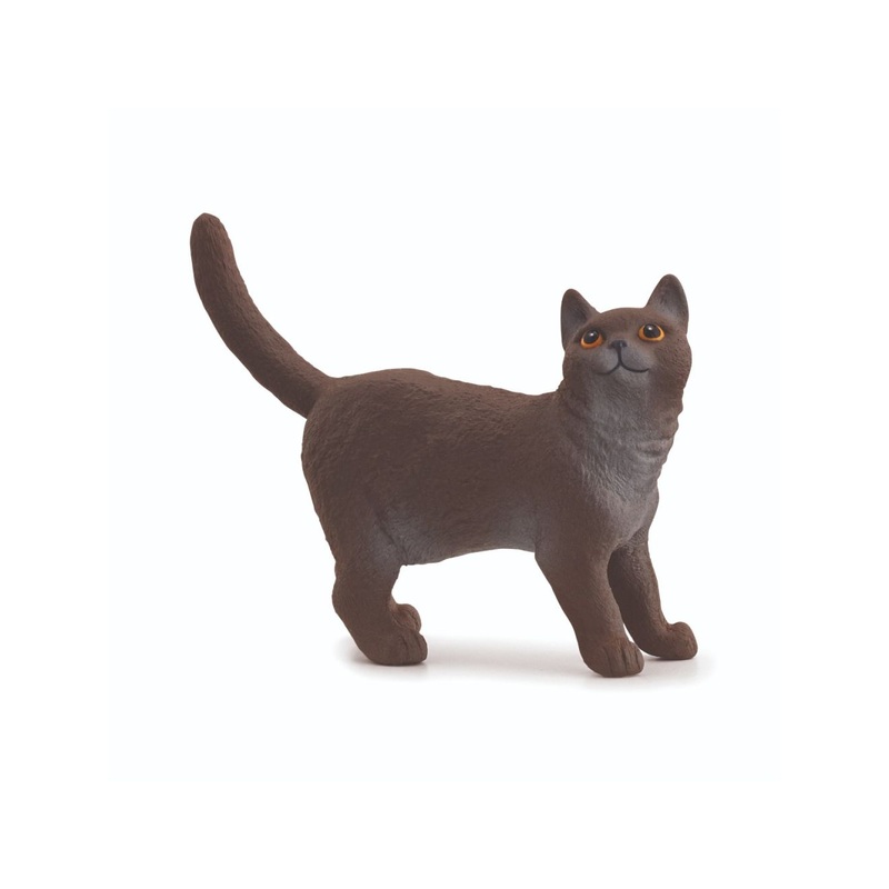 SC British Shorthair Cat (Green Dot)