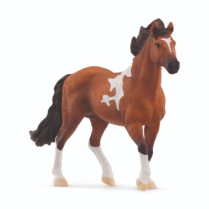SC Mangalarga MarchadorStallion (Grey Dot)