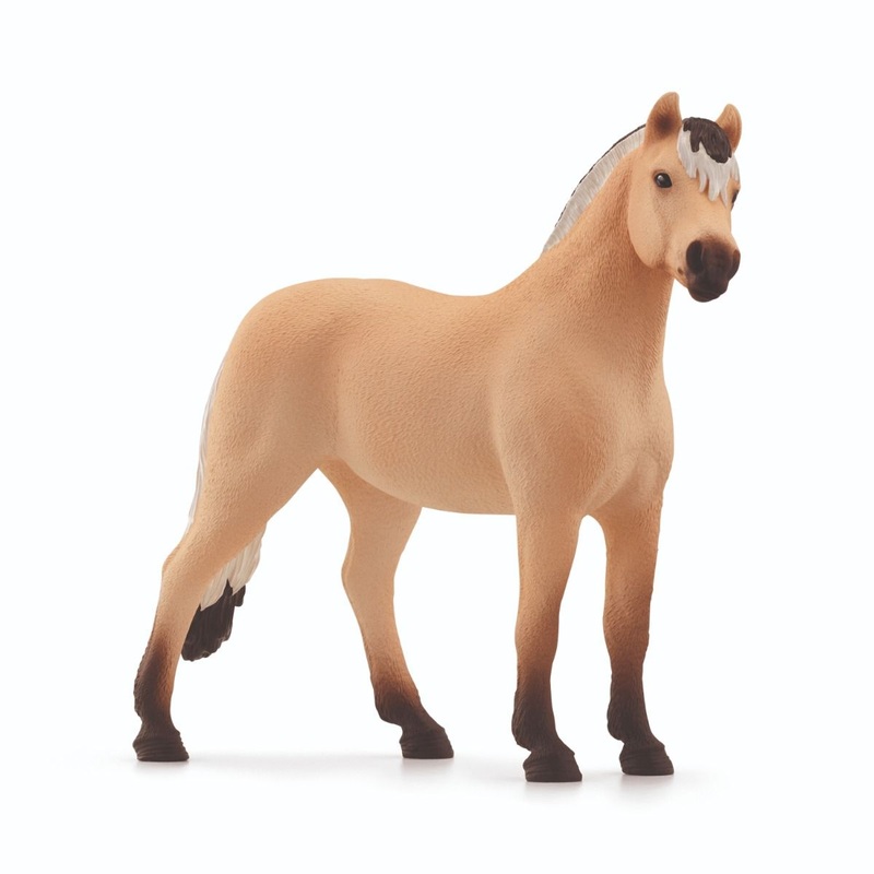 SC Norwegian Fjord Horse Gelding (Grey Dot)