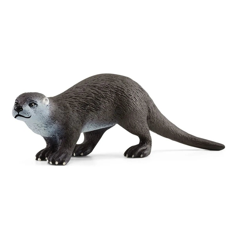 SC Otter (Red Dot)