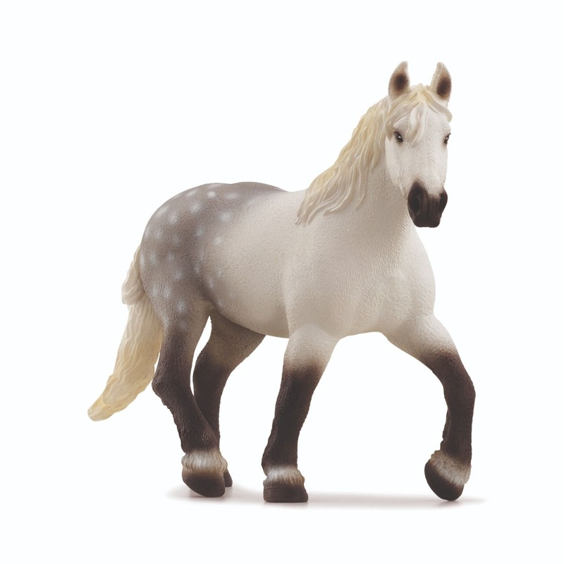 SC Percheron Mar (Brown Dot)