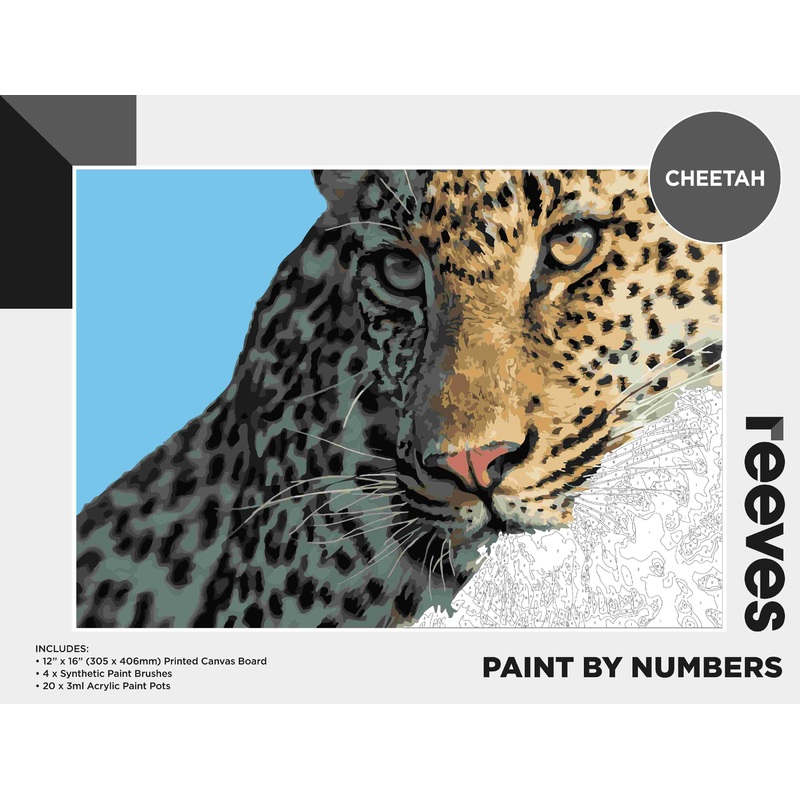 Reeves Paint By Numbers 12x16in Cheetah