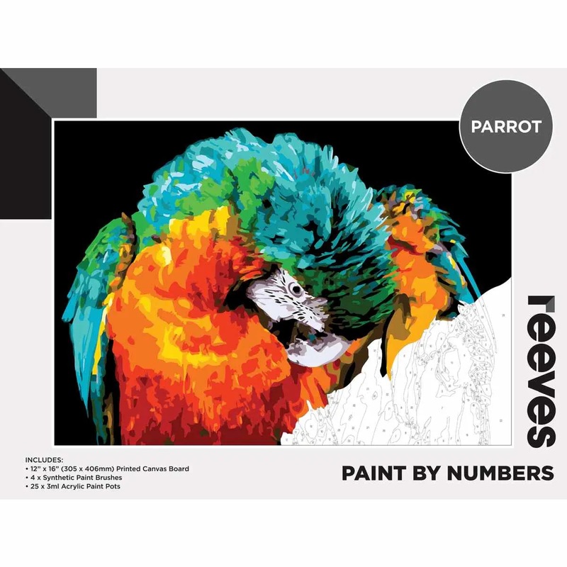 Reeves Paint By Numbers 12x16in Parrot