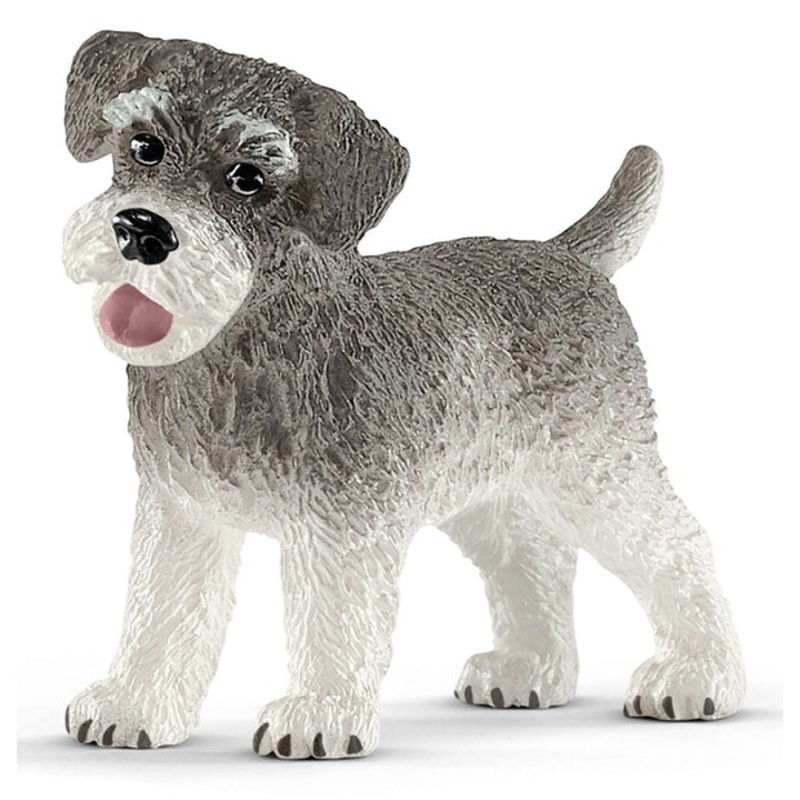 SC Minature Schnauzer (Green Dot)