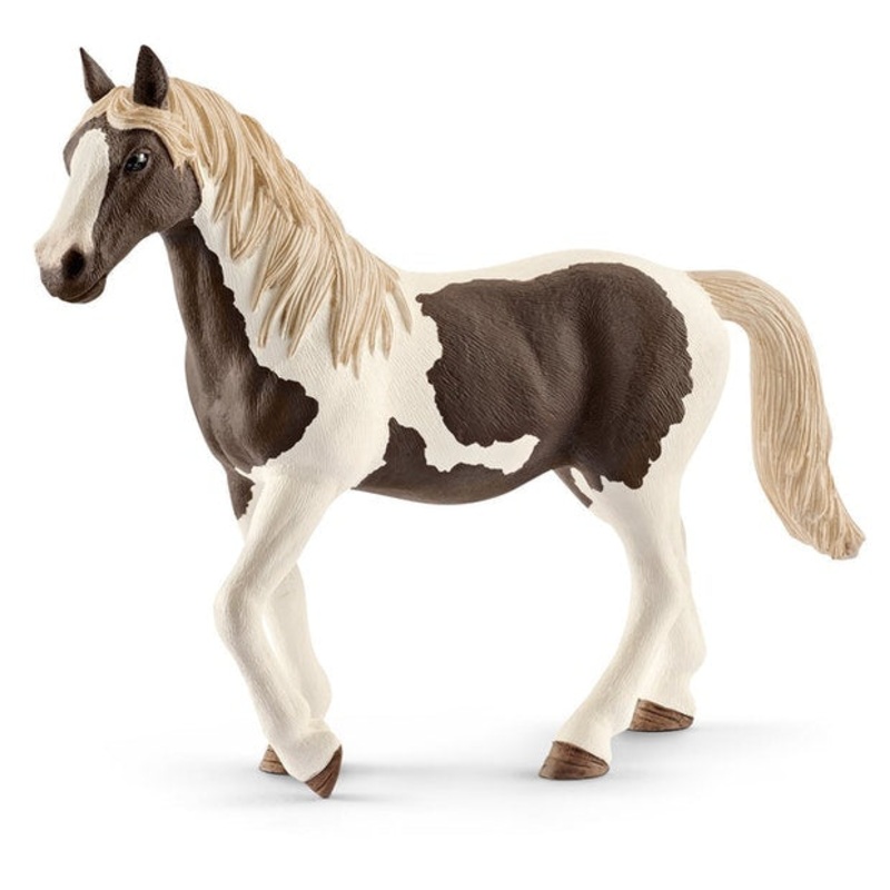 SC Pinto Mare (Grey Dot)