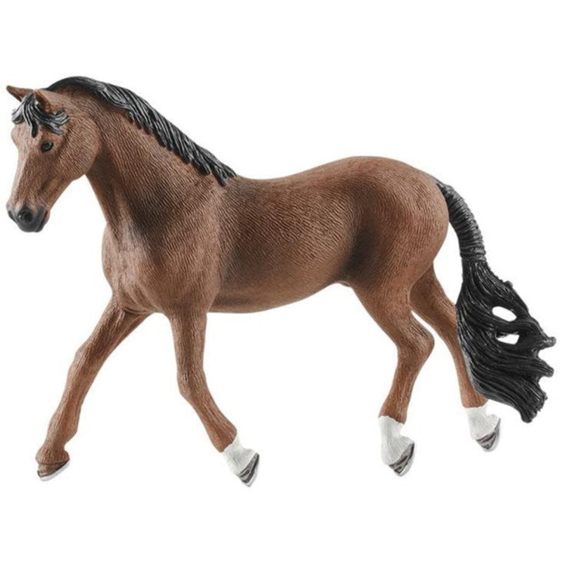 SC Trakehner Gelding (Grey Dot)