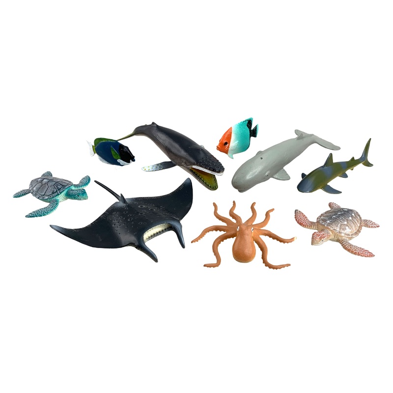 AP Ocean Animals (6pc Window Box)