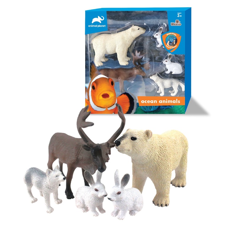 AP Polar Animals (5pc Window Box)
