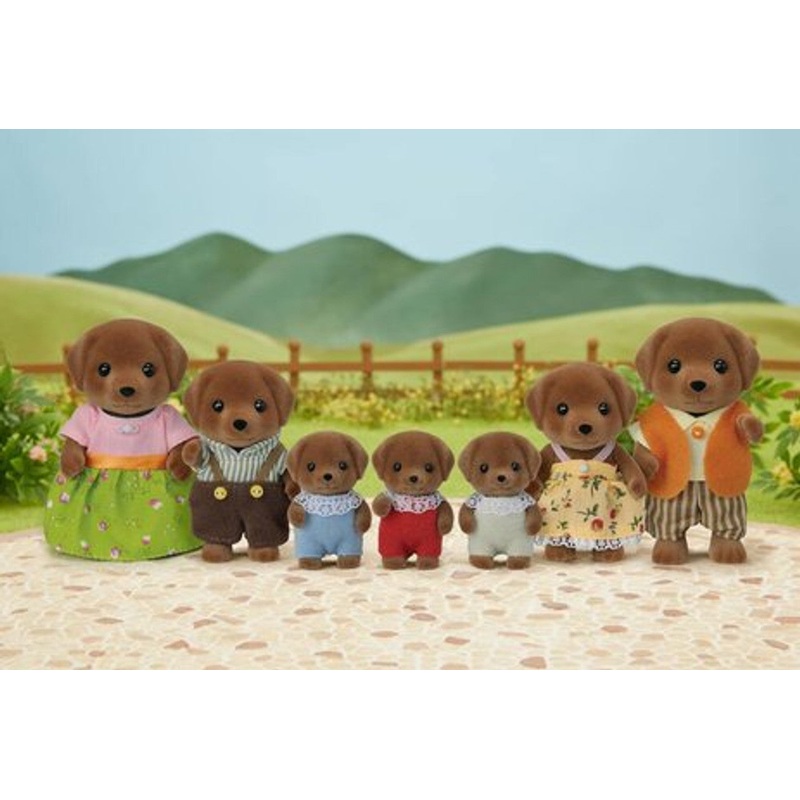 SF Chocolate Labrador Family 7 Pack