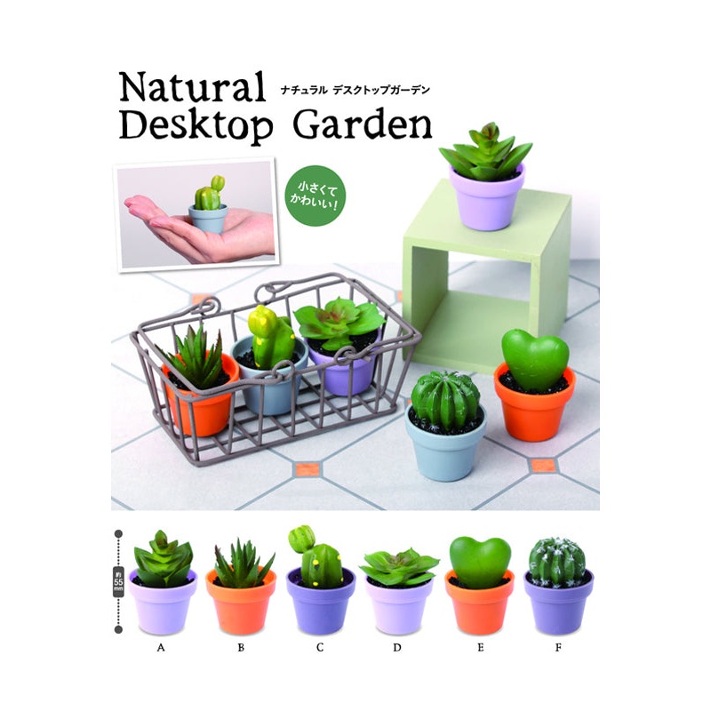Natural System Service Desktop Garden(1 Random)